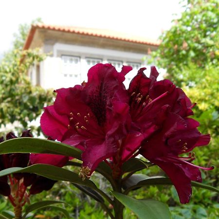 Quinta Do Bento Novo - Casa De Campo - Turismo Rural Виана до Кастело Екстериор снимка