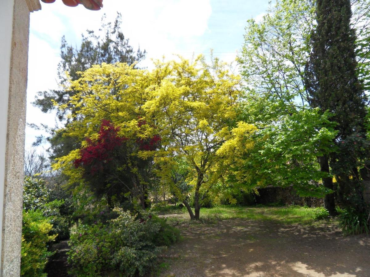 Quinta Do Bento Novo - Casa De Campo - Turismo Rural Виана до Кастело Екстериор снимка