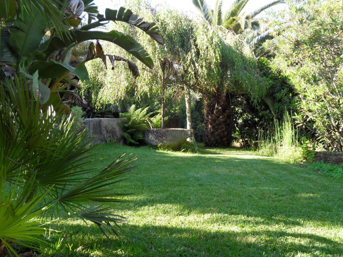 Quinta Do Bento Novo - Casa De Campo - Turismo Rural Виана до Кастело Екстериор снимка