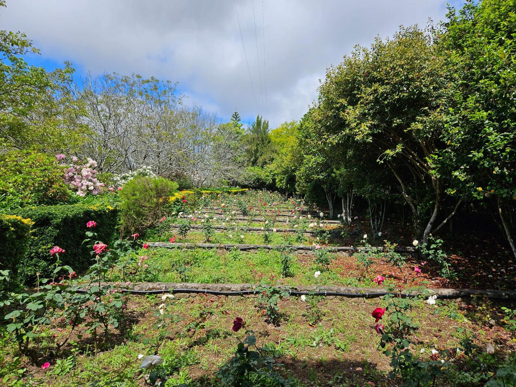 Quinta Do Bento Novo - Casa De Campo - Turismo Rural Виана до Кастело Екстериор снимка